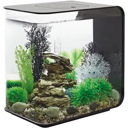 biOrb FLOW 30 LED schwarz (72033)