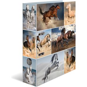 Herma Ordner 7164 Animals, Karton, A4, 7cm, Motiv Pferde