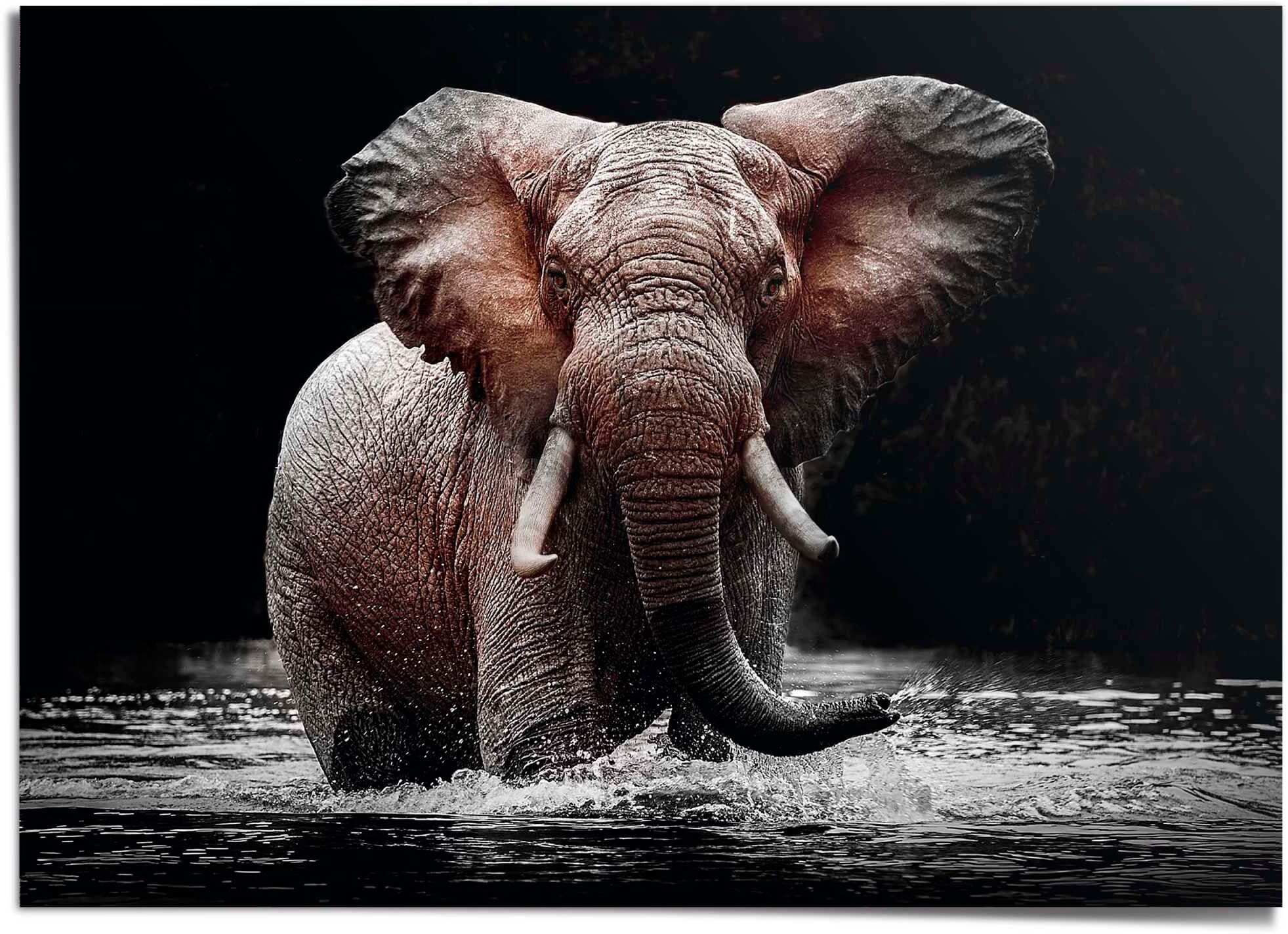 Reinders! Poster REINDERS "Elefant", schwarz (farbe bild(er): schwarz), B:140cm H:100cm T:0,1cm, Papier, Bilder, Poster farbe bild(er): schwarz B/H/T: 140cm x 100cm x 0,1cm