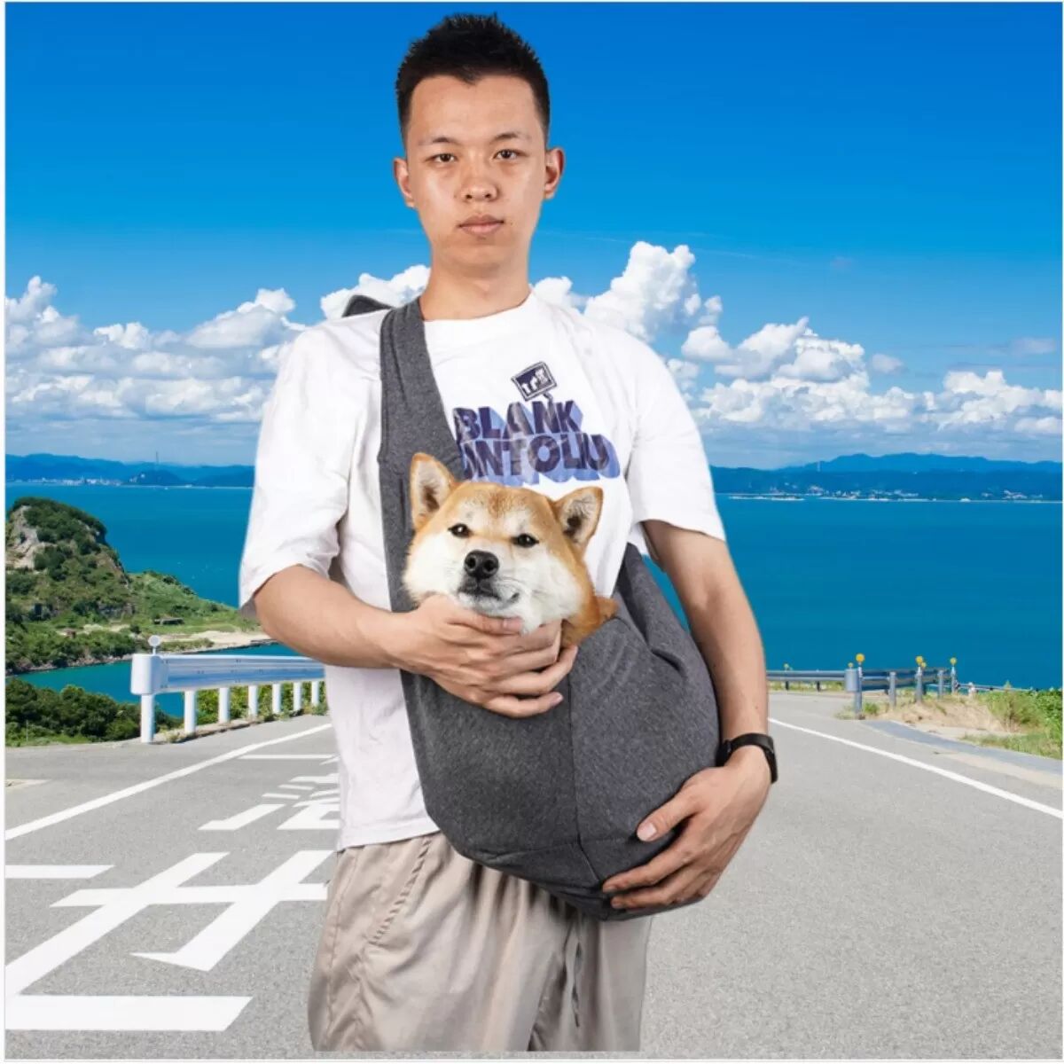 INF Sac de transport bandoulière portable double face pour petits chiens - Sac de voyage mains libres pour animaux Gris foncé