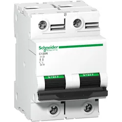 Schneider Electric, Schutzschalter, LSSchalter C20N 2p