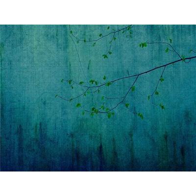 CALVENDO Puzzle Ein Motiv aus dem Kalender Mauerblümchen - Poesie im Alltäglichen | 2000 Teile Lege-Größe 90x67cm Foto-Puzzle für glückliche Stunden
