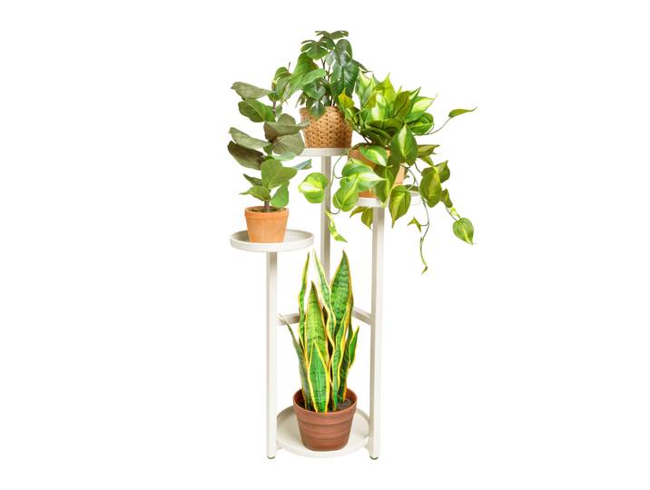 QUVIO Plantenstandaard - Voor 4 planten - Metaal - Beige