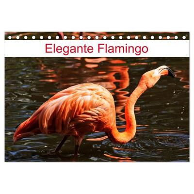Elegante Flamingo (Tischkalender 2027 DIN A5 quer), CALVENDO Monatskalender