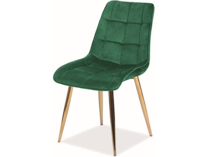 Esszimmerstuhl Küchenstuhl Set Chic grün 6er Set