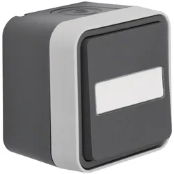 Berker Wechselschalter, 30763555 beleuchtet AP W.1 lichtgrau, Schalter + Taster, Grau