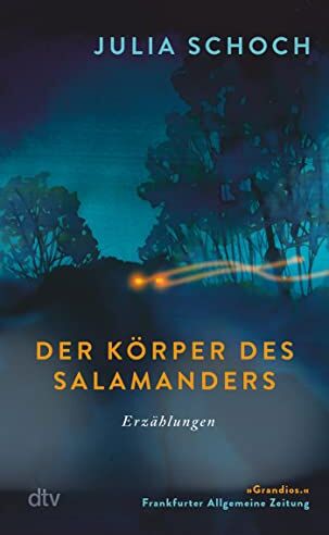 Julia Schoch - Der Körper des Salamanders: Erzählungen Überarbeitete und erweiterte Neuausgabe von Julia Schochs »grandiosem Debüt« (FAZ) - Preis vom 13.10.2026 11:25:28 h