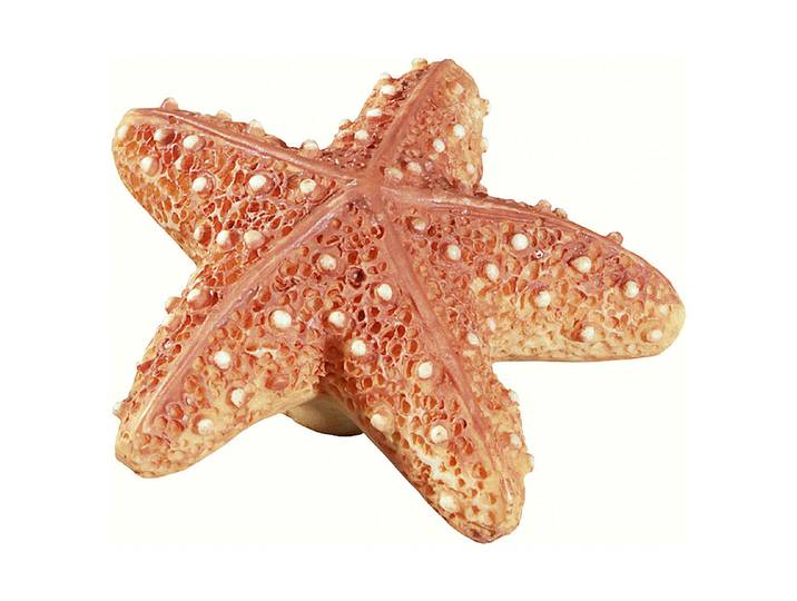 Siro Möbelknopf Seestern 5.3 × 5 cm