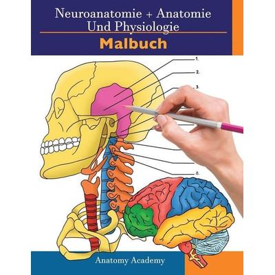 Neuroanatomie + Anatomie und Physiologie Malbuch, Taschenbuch von Clement Harrison, Muze Publishing, 978-1-914207-21-1