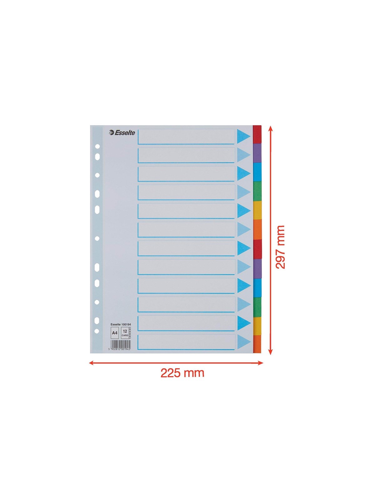 Esselte - divider - 12 parts - for A4 - tabbed