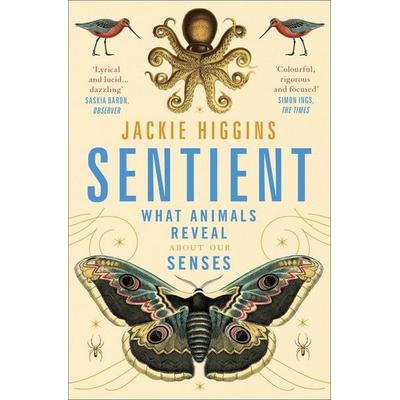 Sentient, Taschenbuch von Jackie Higgins, Macmillan Publishers International, 978-1-5290-3081-5
