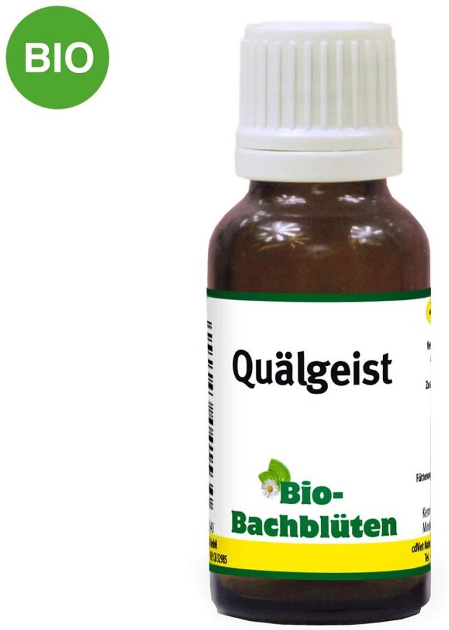 Bachblüte Quälgeist für Katzen 20ml