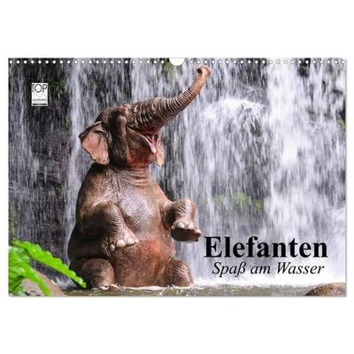 Elefanten. Spaß am Wasser (Wandkalender 2026 DIN A3 quer), CALVENDO Monatskalender
