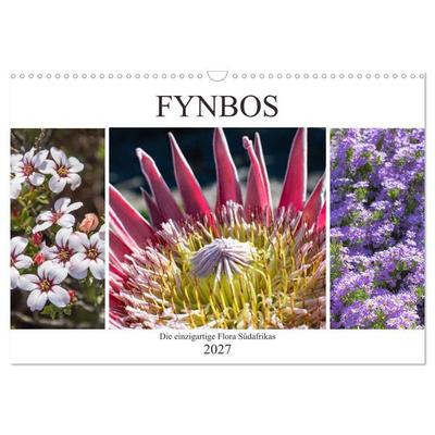 Fynbos - Die einzigartige Flora Südafrikas (Wandkalender 2027 DIN A3 quer), CALVENDO Monatskalender