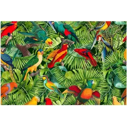 FOTOTAPETE Bunte Collage - Papageien im Dschungel 336/225 cm