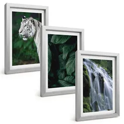 BILDER SET 3er Set - 20x30 cm Silberner Rahmen - Wasserfall aus weißen Tigerblättern