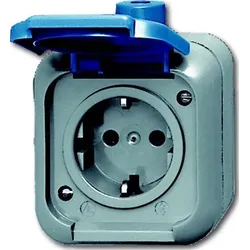 Busch-Jaeger Steckdose 2300 EWSI 2CKA002083A0368
