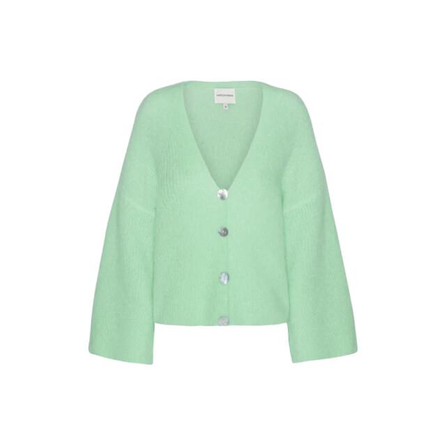 American Dreams Sandra oversized cardigan mint green -