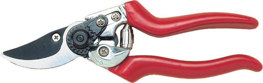 C.K. Premium tuinschaar, lengte: 21,5 cm