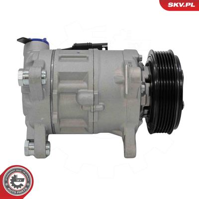 ESEN SKV Kompressor, Klimaanlage 84skv079 für BMW