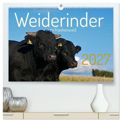Weiderinder im Frankenwald (hochwertiger Premium Wandkalender 2027 DIN A2 quer), Kunstdruck in Hochglanz