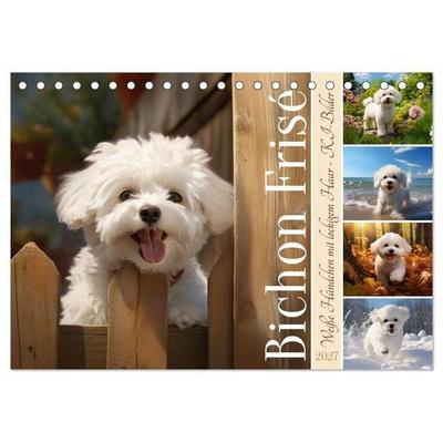 Bichon frisé, weiße Hündchen mit lockigem Haar (Tischkalender 2027 DIN A5 quer), CALVENDO Monatskalender