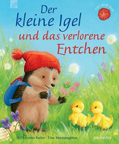 Butler, M. Christina - Der kleine Igel und das verlorene Entchen - Preis vom 13.10.2026 19:28:25 h