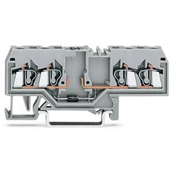 WAGO 280-655/281-410 Diodenklemme 5 mm Zugfeder Belegung: L Grau 100 St. Package