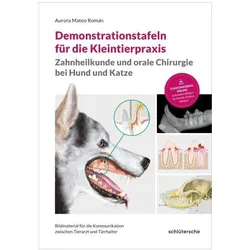 Mateo Román:Demonstrationstafeln für di, Ratgeber von Aurora, Aurora Mateo Romn, Mateo Román, Aurora Mateo Román