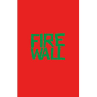 Firewall, Taschenbuch von Erin Jade Lange, Magellan, 978-3-7348-8232-6