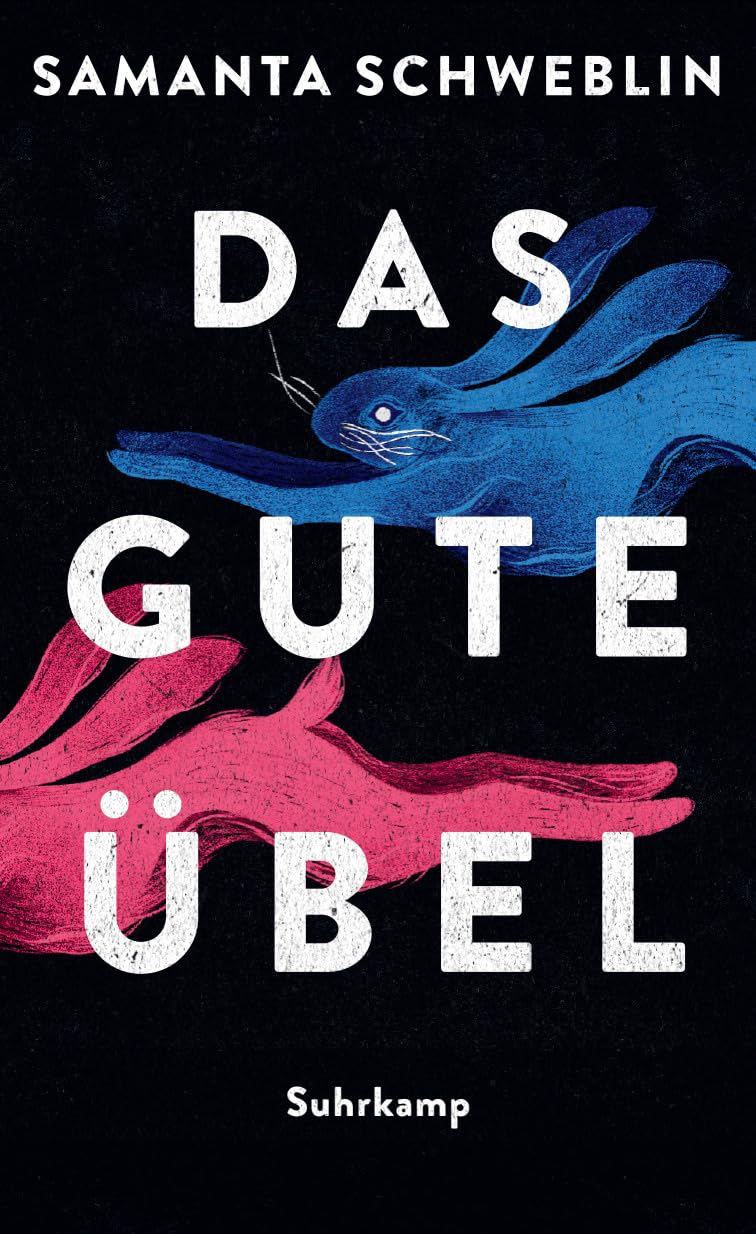 Samanta Schweblin - Das gute Übel: Erzählungen Gestochen scharfe Horrorgeschichten der National Book Award Gewinnerin - Preis vom 18.10.2026 15:28:09 h