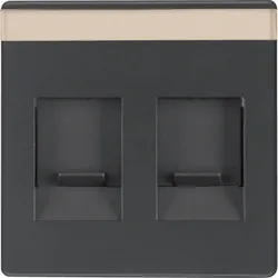 Berker 11816086 Zentralstück m Staubs u BF Q.x anthrazit