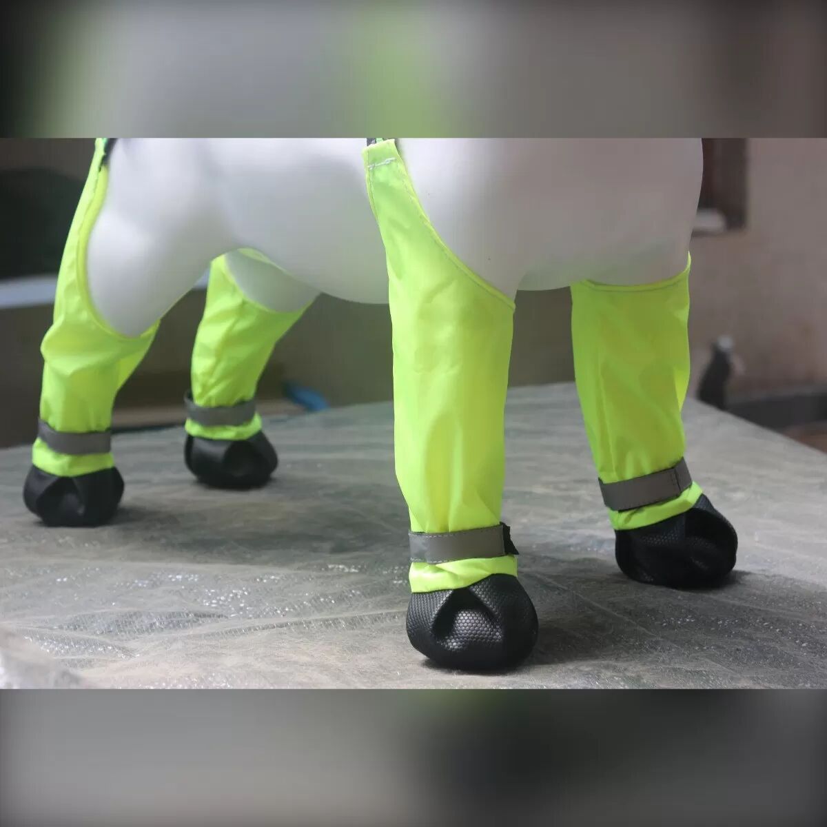 INF Schützende Outdoor-Schuhe für Haustiere: Wasserdicht & Rutschfester Pfotenschutz M
