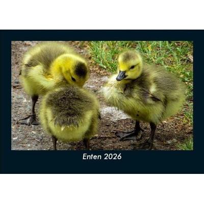 Enten 2026 Fotokalender DIN A5