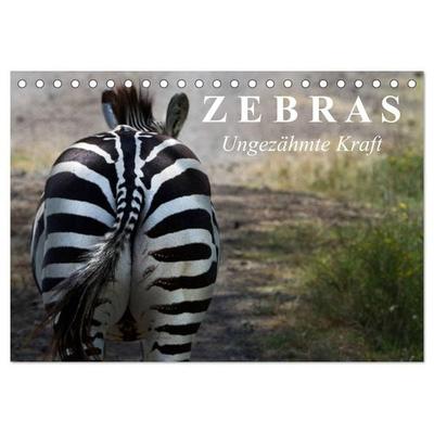 Zebras - Ungezähmte Kraft (Tischkalender 2027 DIN A5 quer), CALVENDO Monatskalender