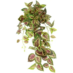 Kunstpflanze I.GE.A. "Buntnessel", grün (grün, rot), B:28cm H:80cm L:26cm, Obermaterial: 90% Polyester, 10% Kunststoff, Kunstpflanzen, Kunstpflanze, Kletterpflanze