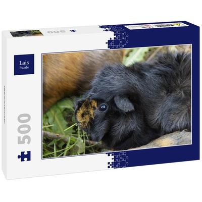 Lais Puzzle Meerschweinchen 500 Teile