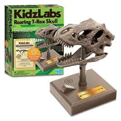 4M KIDZROBOTIX: BRULLENDE T-REX SCHEDEL 12cm, met gedetailleerde instructies, werkt op 2x1.5V AAA batte