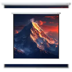 celexon Leinwand Rollo Economy 240 x 240 cm - 134`