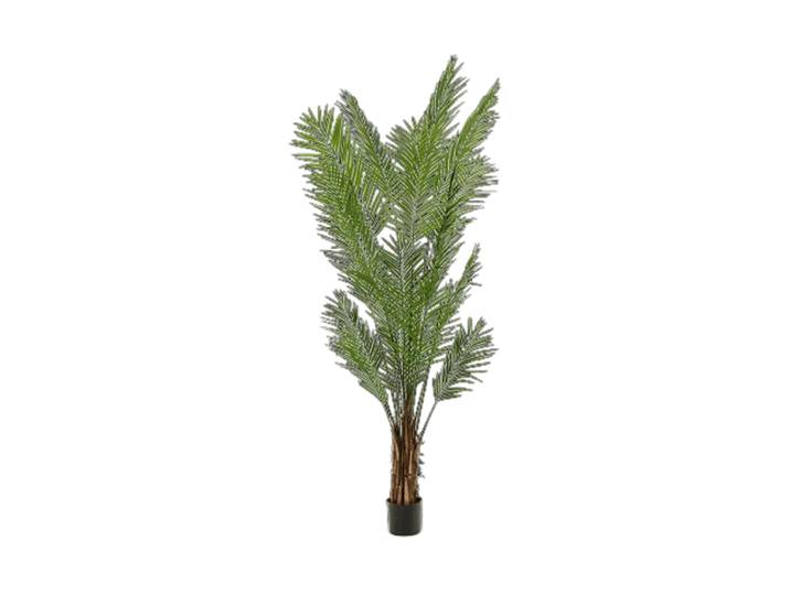 Lebensechte Kunstpflanze „Areca Bush“, verschiedene Grössen Grün Baq Design
