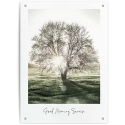 Outdoor Poster SUNBEAM TREE (BH 56x78 cm) - bunt - BH 56x78 cm