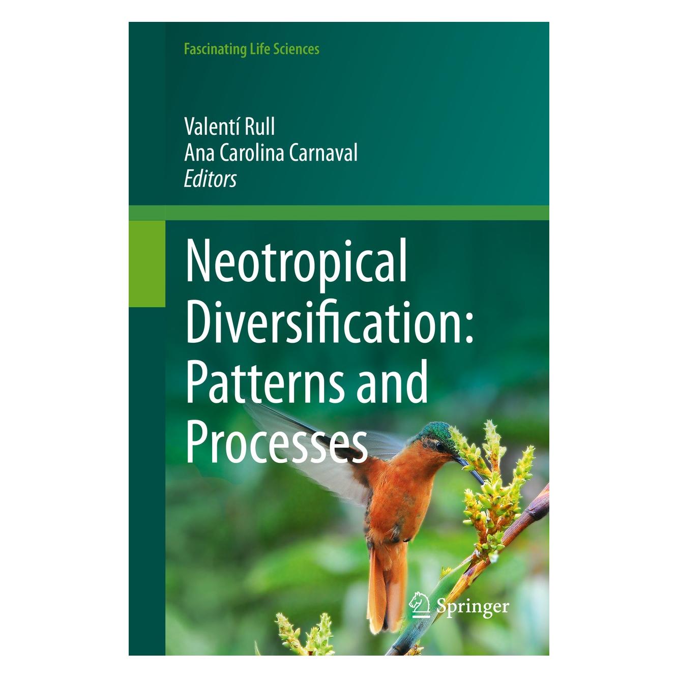 Springer Neotropical Diversification: Patterns a (9783030311667)