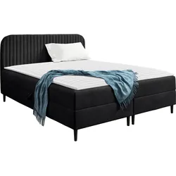 BOXBETT Box Best 1 - H3