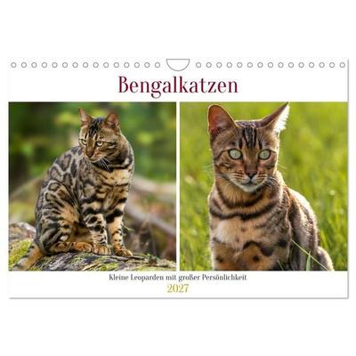 Bengalkatzen - Kleine Leoparden mit großer Persönlichkeit (Wandkalender 2027 DIN A4 quer), CALVENDO Monatskalender