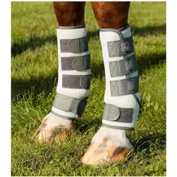 Premier Equine, Pferdebeinschutz, (XL)
