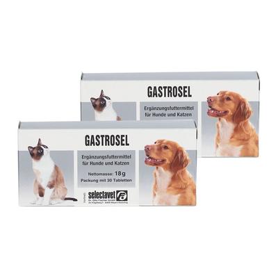 Gastrosel Doppelpack 2x30 St Tabletten