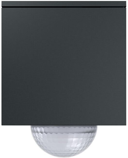 Gira Wächter anthracite 244210 (244210)