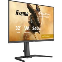 G-Master GB3295QSU-B1 Gold Phoenix, Gaming-Monitor 80 cm (31.5 Zoll), schwarz (matt), QHD, VA, HDMI, DP, FreeSync Premium, 240Hz Panel