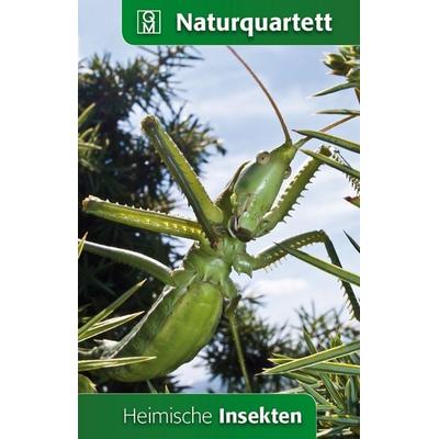 Heimische Insekten