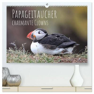 Papageitaucher - charmante Clowns (hochwertiger Premium Wandkalender 2026 DIN A2 quer), Kunstdruck in Hochglanz